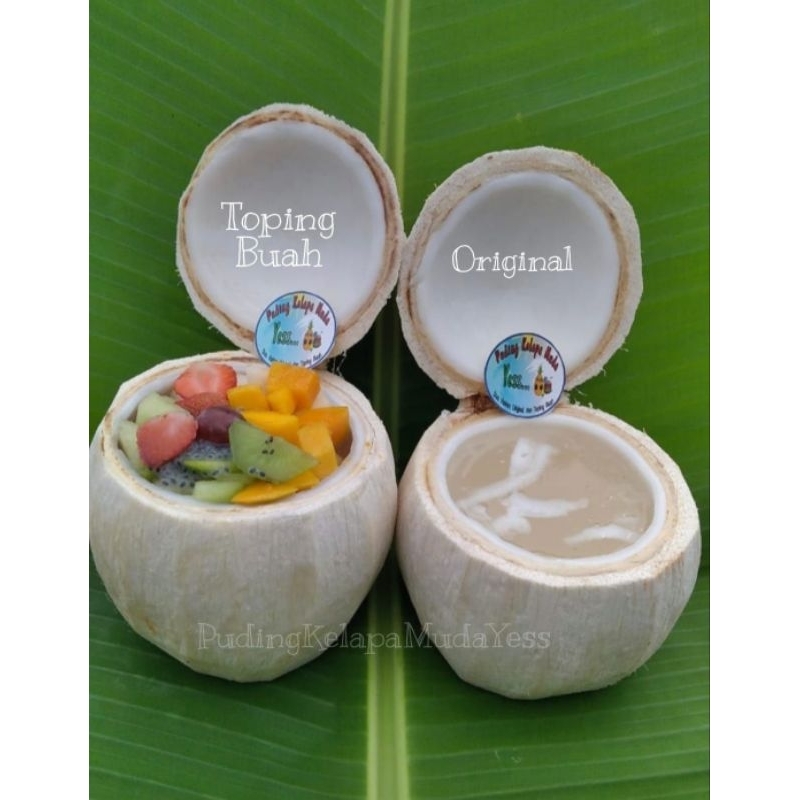 

Kelapa Jelly pudding coconut batok mix fruit buah dan original