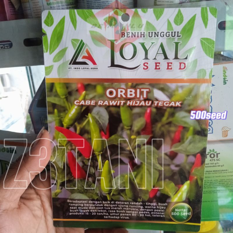 Benih Unggul LOYAL Seed ORBIT Cabe Rawit Hijau Tegak