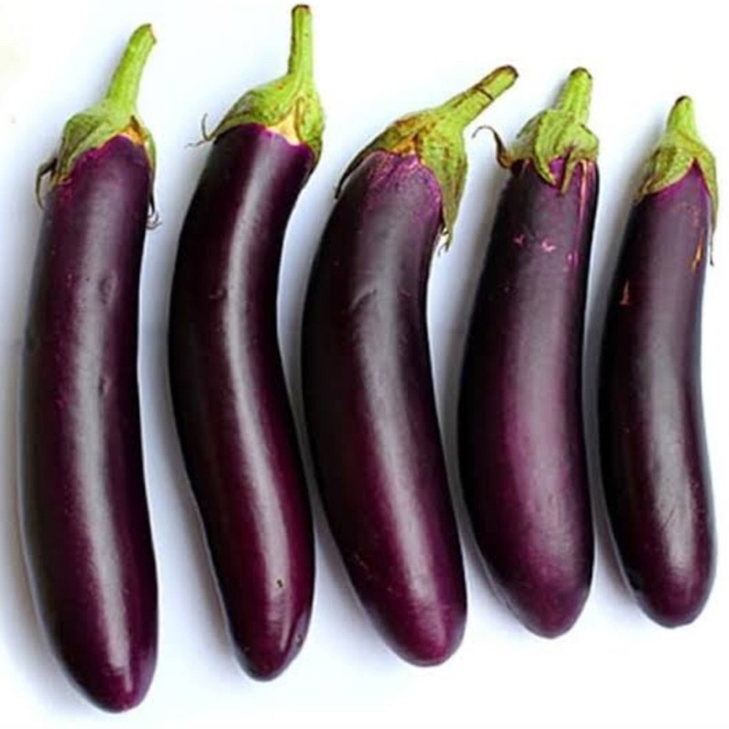 

Terong Ungu Fresh 1kg