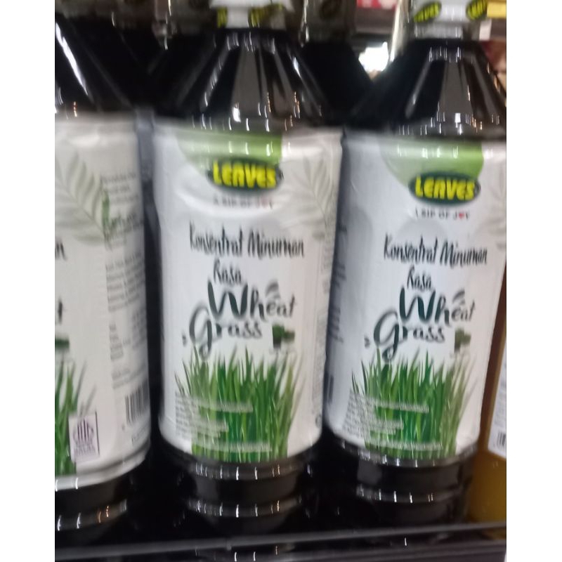 

Leaves-konsentrat minunan rasa-wheat grass