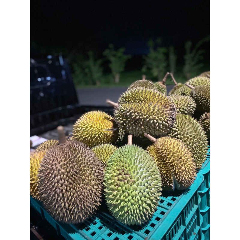 

Duren