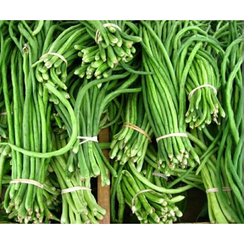 

kacang panjang pres