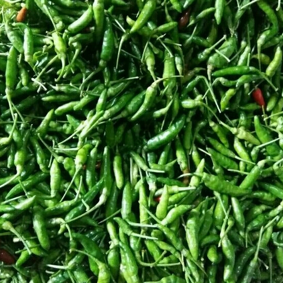 

Cabe Rawit Segar 250g