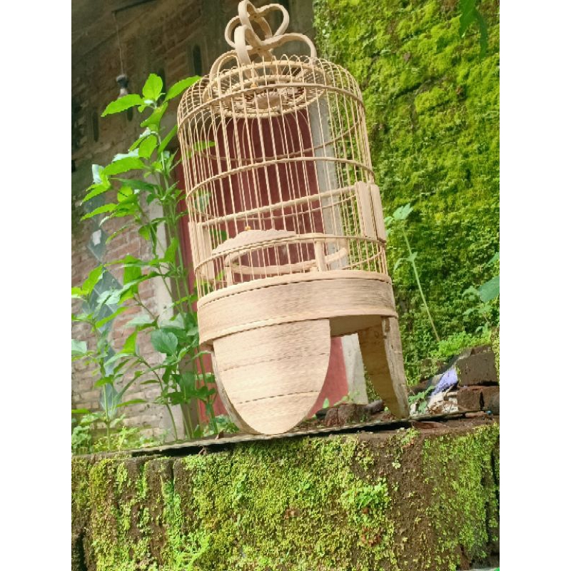 Sangkar pleci Cungkok Minion Dm 25