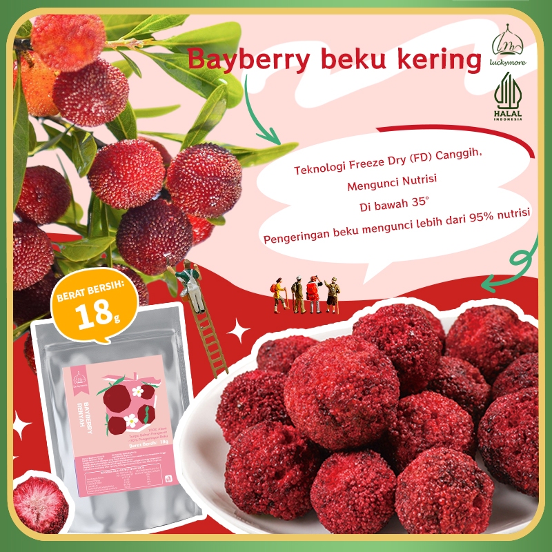 

【Luckymore】 HALAL Bayberry Renyah 18g, Buah kering renyah, cemilan Sehat, keripik buah