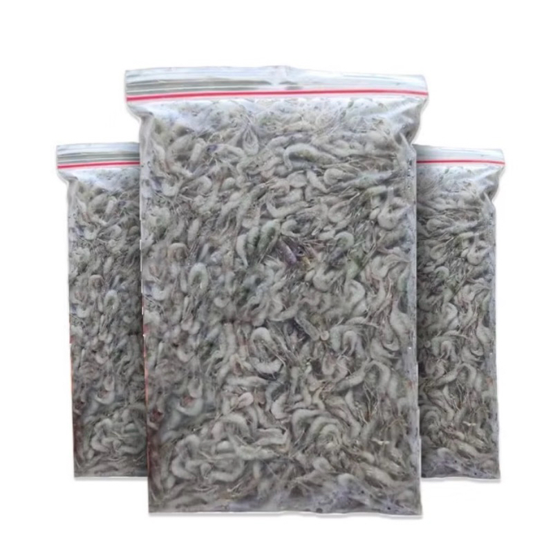 

Udang Pakan beku Predador / Udang Beku pakan predator