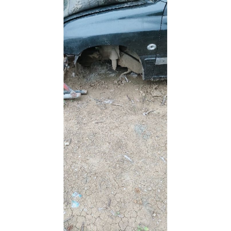 fender kiri escudo kapsul gen 2