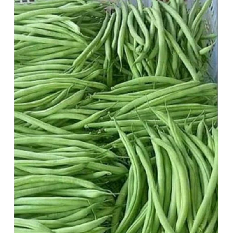 

buncis Fresh 1kg