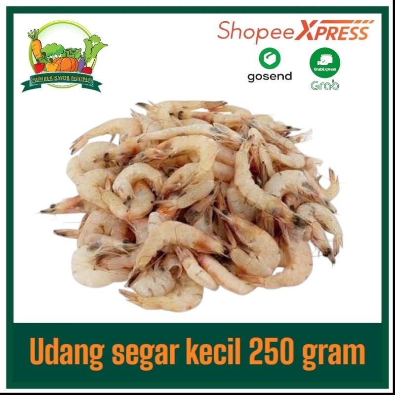 

Udang kecil segar ±250 gram
