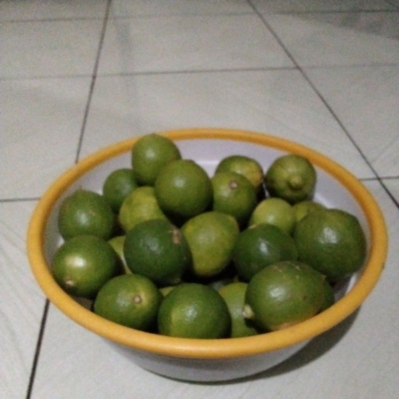 

jeruk nipis 1 kg Poto asli harga grosir