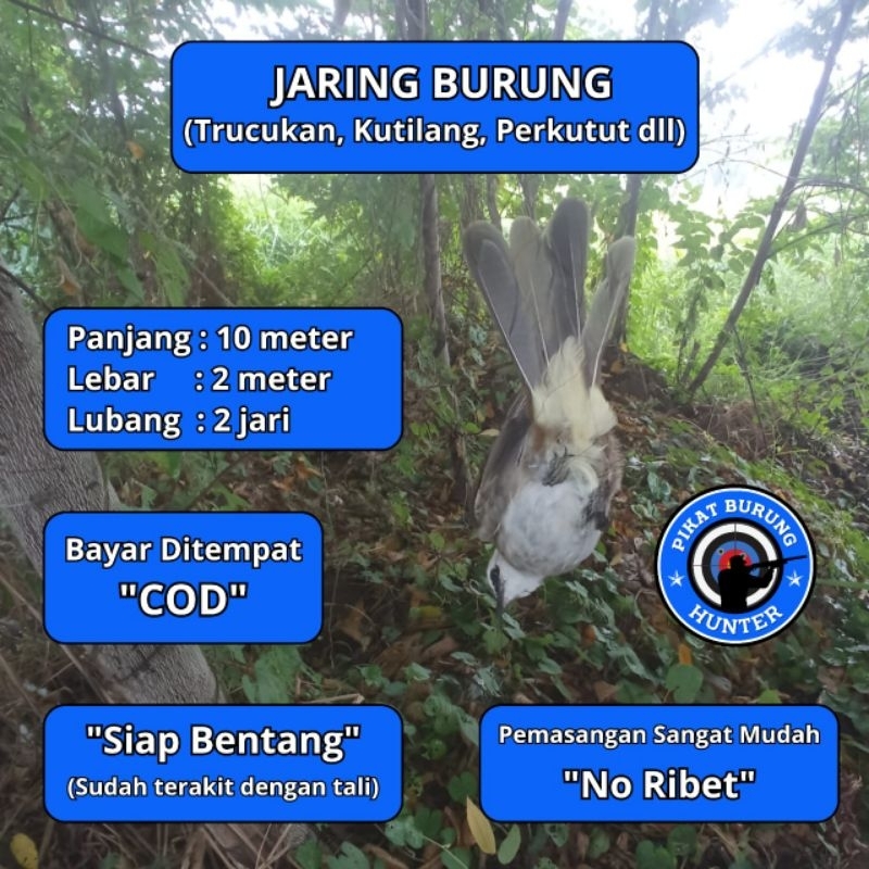 JARING JERAT BURUNG TRUCUKAN JARINGAN BURUNG SIAP PAKE JARING BURUNG TRUCUKAN JALA PIKAT BURUNG SIAP