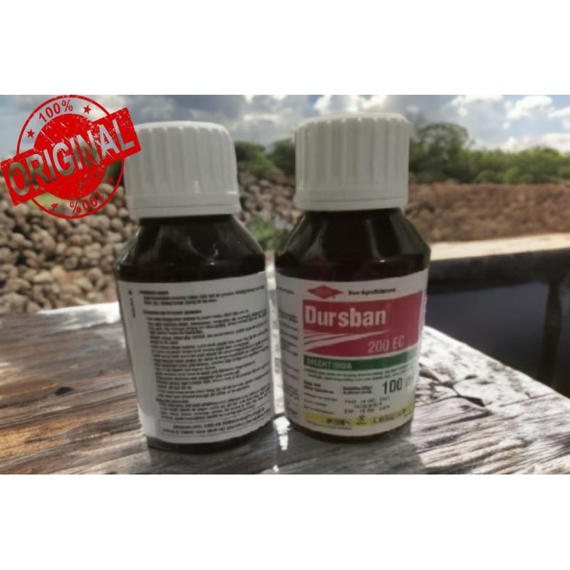 Insektisida Dursban 200EC 100ml