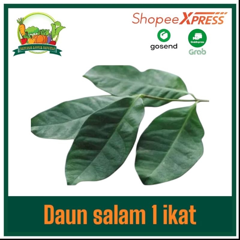 

Daun salam 1 ikat - KIRIM INSTAN
