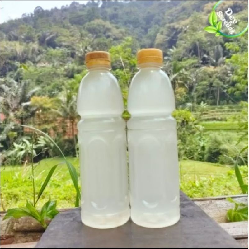 

AIR NIRA AREN ASLI (AIR LAHANG) BERKUALITAS COD DIAMBIL SENDIRI AIR NIRA AREN PERBOTOL BERKUALITAS ASLI DARI POHON AREN
