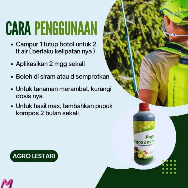Pupuk Cair Organik AGRO LESTARI - Pupuk Pertumbuhan dan Pembuahan Pelebat Buah - Pupuk Agro Lestari