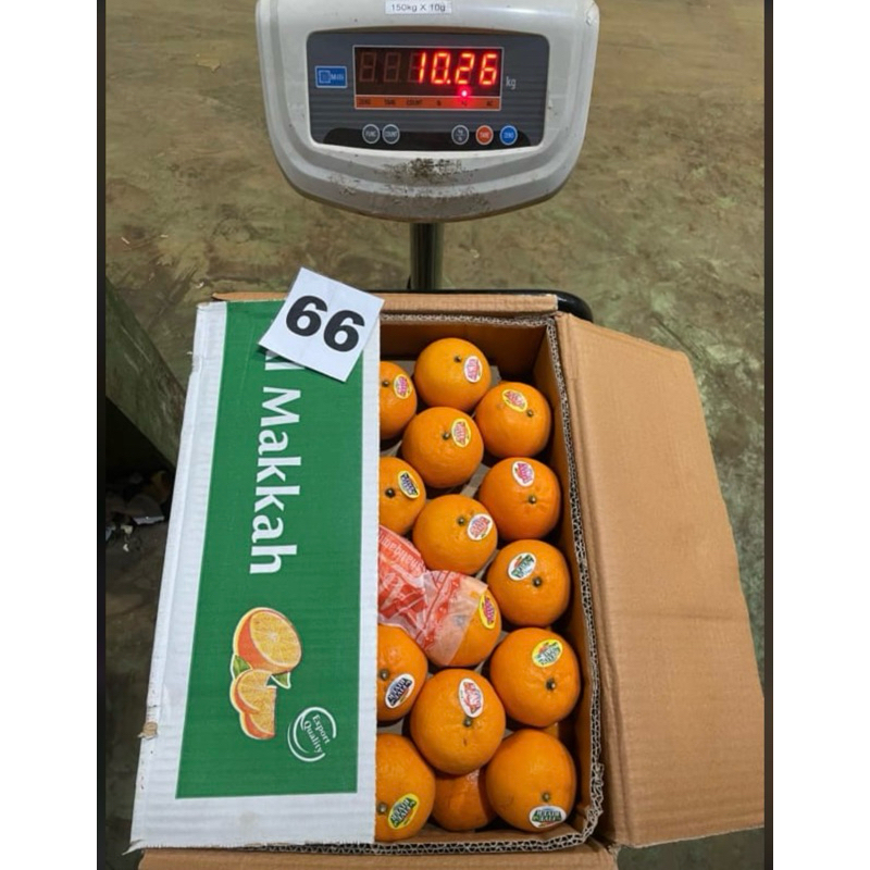 

JERUK KINO 1 DUS BARU