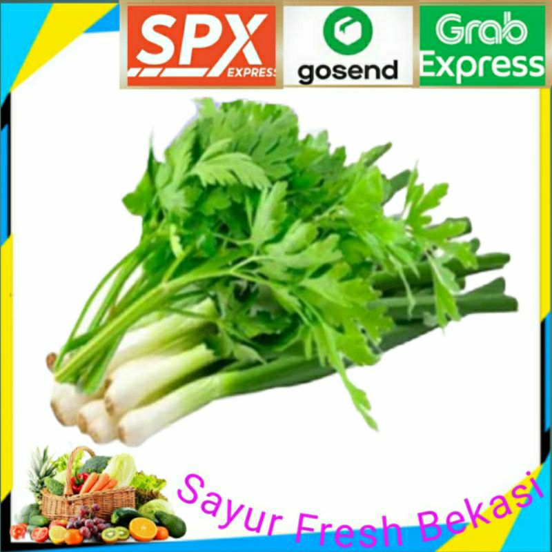 

Daun Bawang Seledri ( 1 ikat).