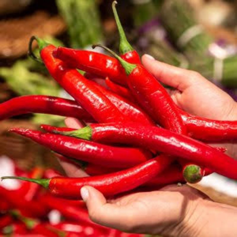 

Cabe Merah Besar 250 - 1 kg