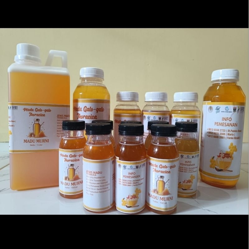 

Madu Galo Galo Thoracica Berkah Kito 100 Ml