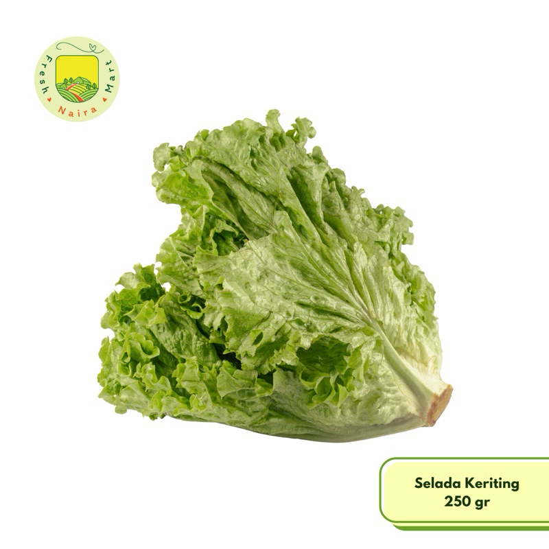 

Selada Keriting (sayur segar) 250 gr