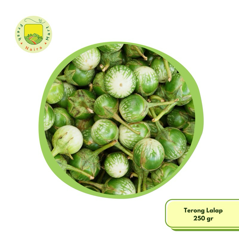 

Terong Lalap (sayur segar) 250 gr