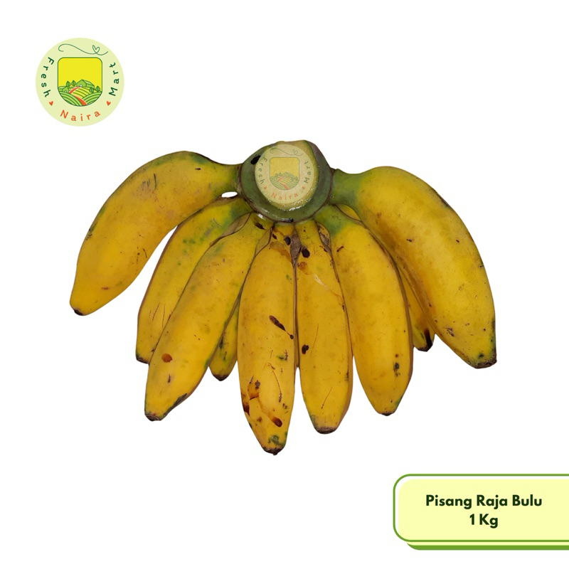 

Promo Pisang Raja Bulu Segar 1 Kg