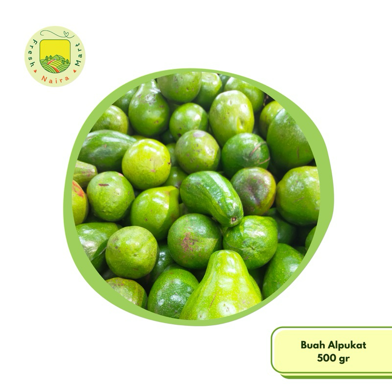 

Alpukat Segar isi 500 gr