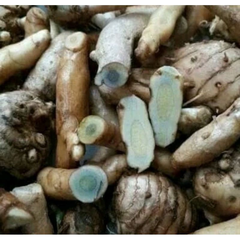 

Kunyit hitam/ Temu Ireng Herbal Alami fresh 1000 gram