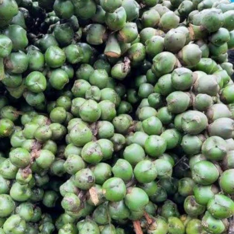 

Mentah - Buah pohon aren segar 500 gram
