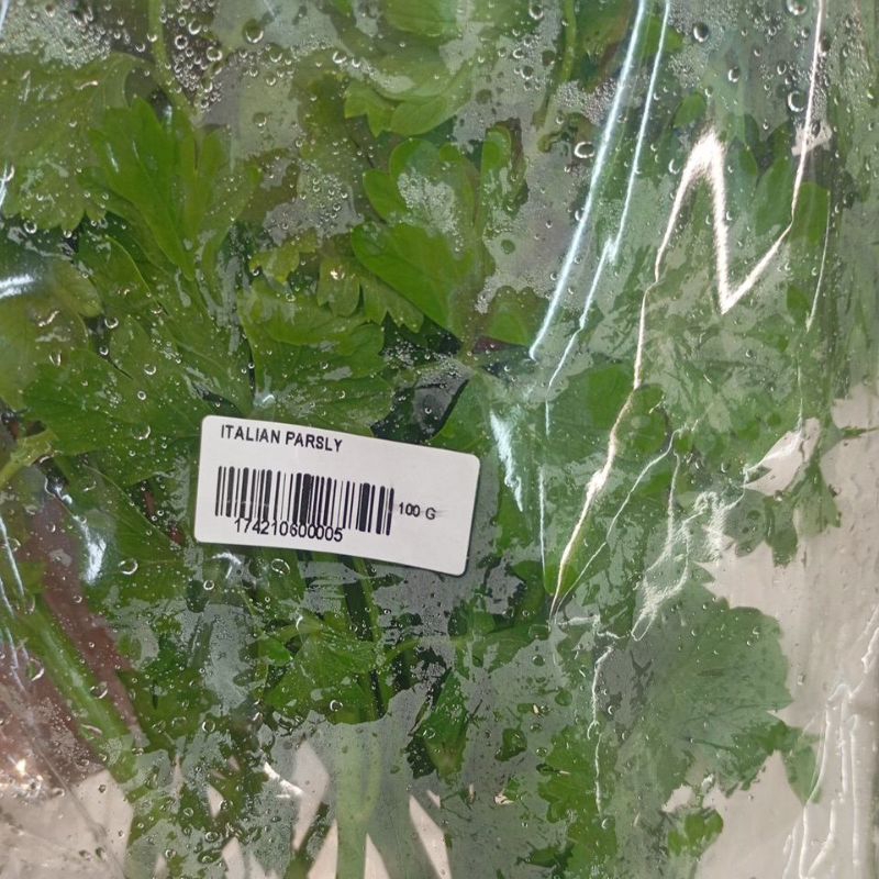 

ITALIAN PARSLY PARSLEY SEGAR