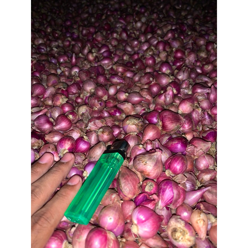 

Bawang Merah besar asli lokal kota Demak Nusantara