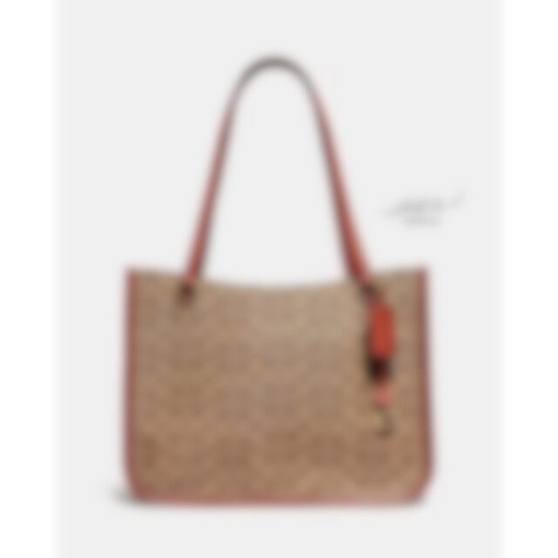 TAS WANITA TYLER CARRYALL IN SIGNATURE TAN RUST