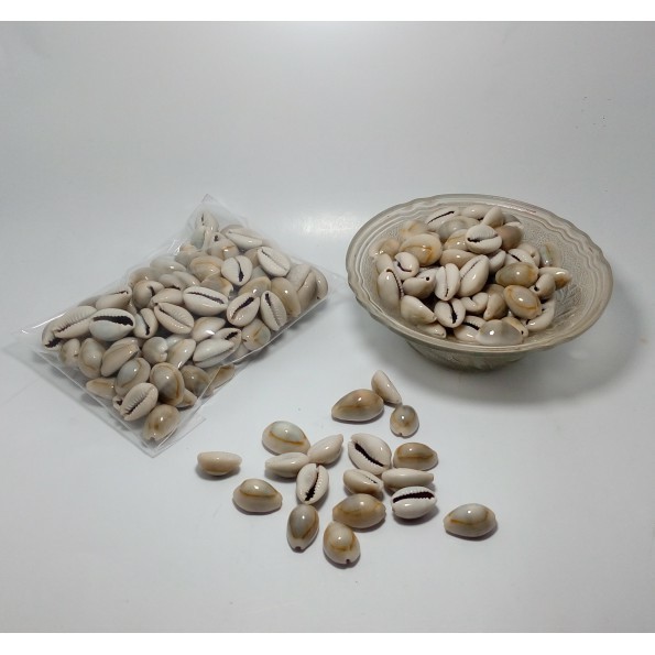 Biji congklak Kuwuk asli kerang Besar BAGUS original 100 gram