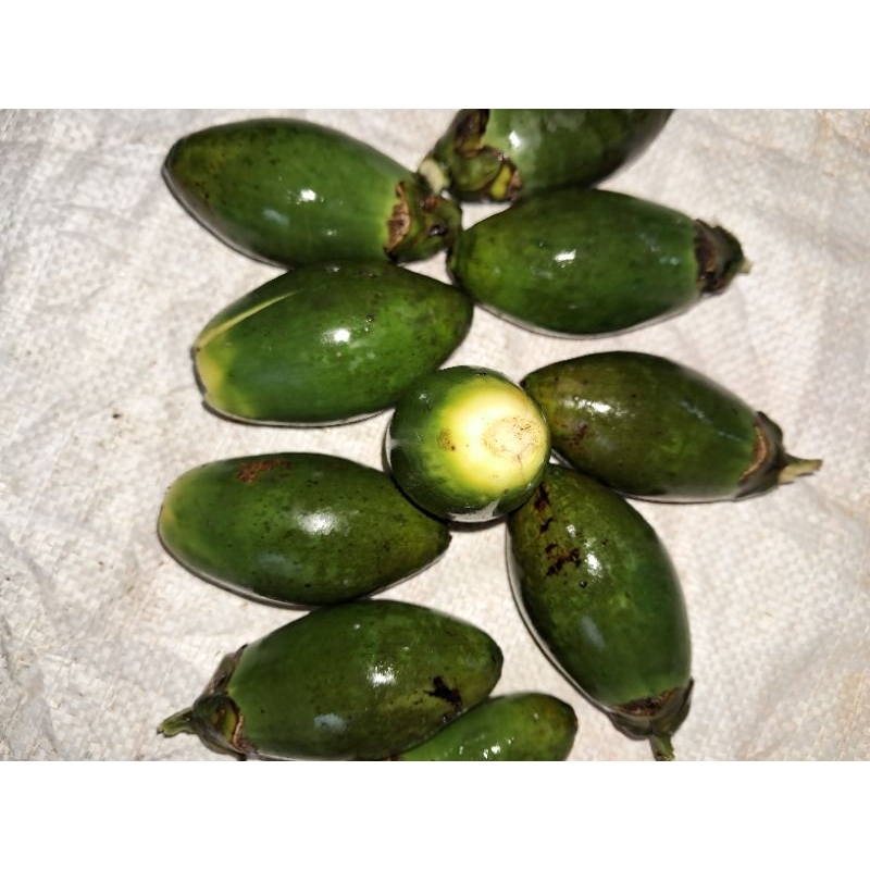 

jual pinang muda atau jambe muda 500 grm
