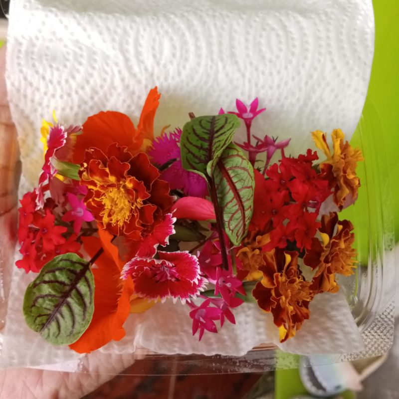 

edible flower mix flower garnish