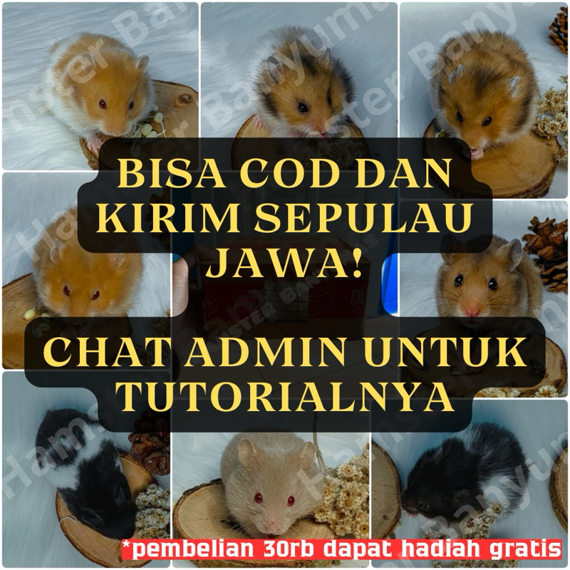 

Packing Kardus+Semua Jenis (Kirim Sepulau Jawa) Bisa COD