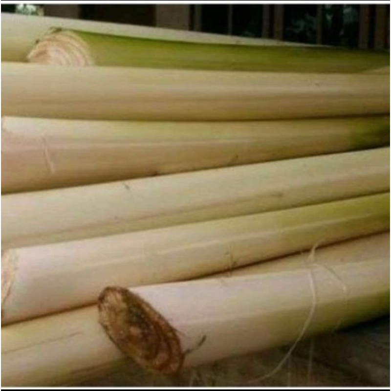 

gedebong gebog batang pisang 1kg obat herbal