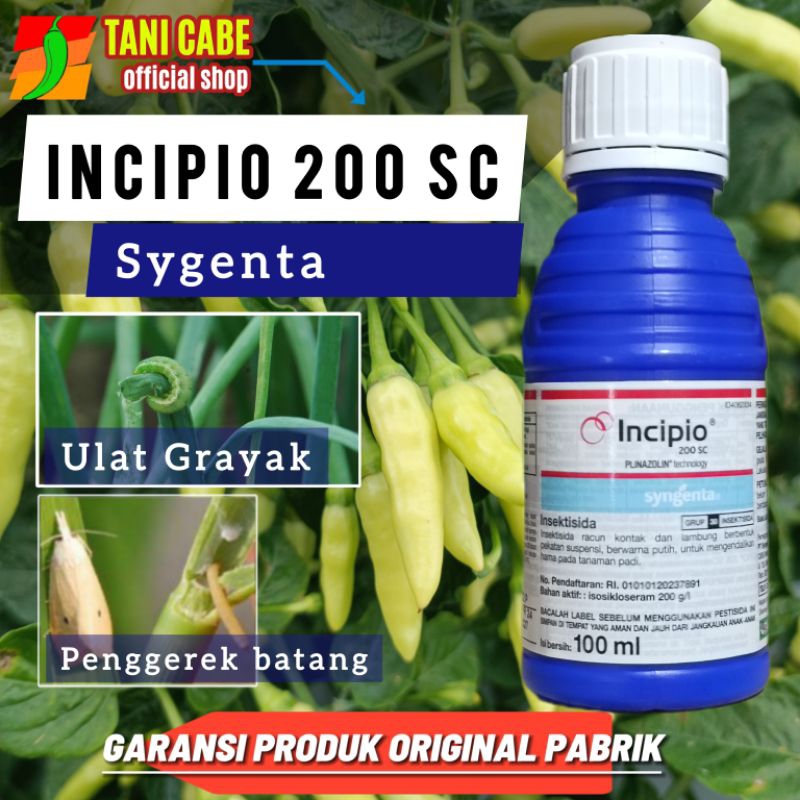 INSEKTISIDA INCIPIO 100 ML
