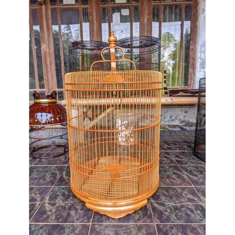 SANGKAR MURAI JATI NO 3 TEBOK CEPER