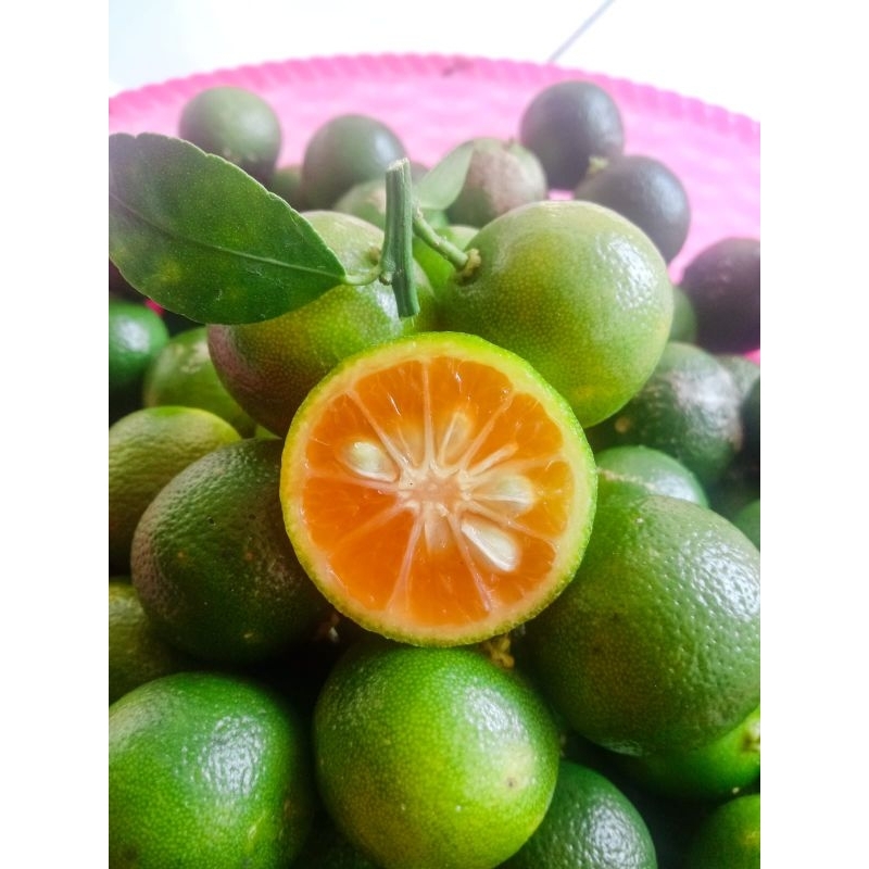 

1kg jeruk sonkit jeruk kasturi jeruk kunci