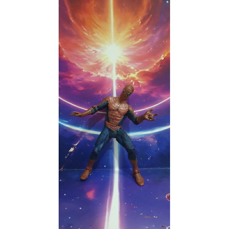 Spiderman Movie Tobey Maguire Action figure Marvel Hasbro