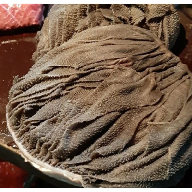 

Babat jarit hitam sapi spesial babat jaritnya saja