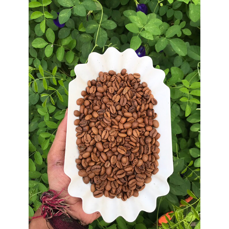 

kopi arabika