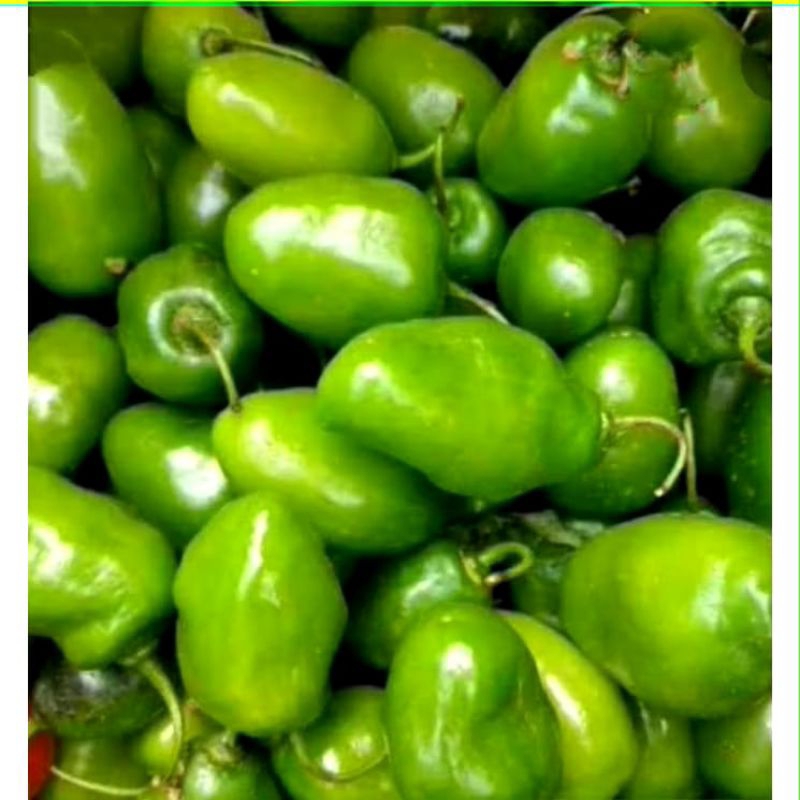 

cabe gendot segar 500g