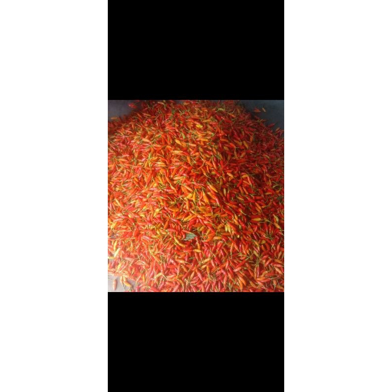

CABAI 500GR MERAH RAWIT ORI