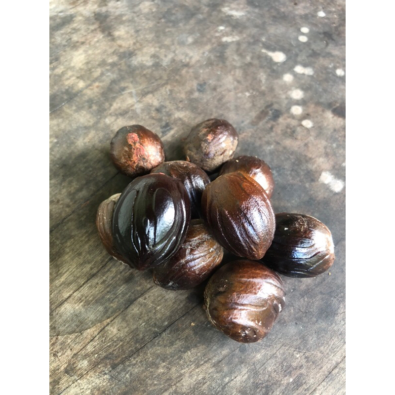 

Biji Pala Kering Langsung Dari Petani
