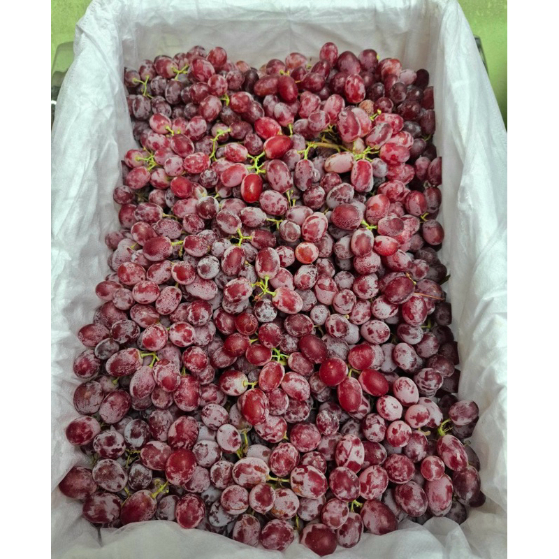 

ANGGUR CRIMSON/KRIMSON 1 KRT 4 KG (ANGGUR KECIL)