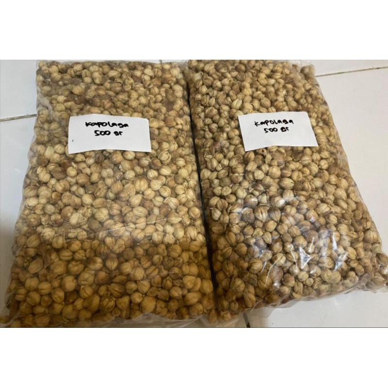 

KAPOLAGA KERING/BIJI 500 GRAM