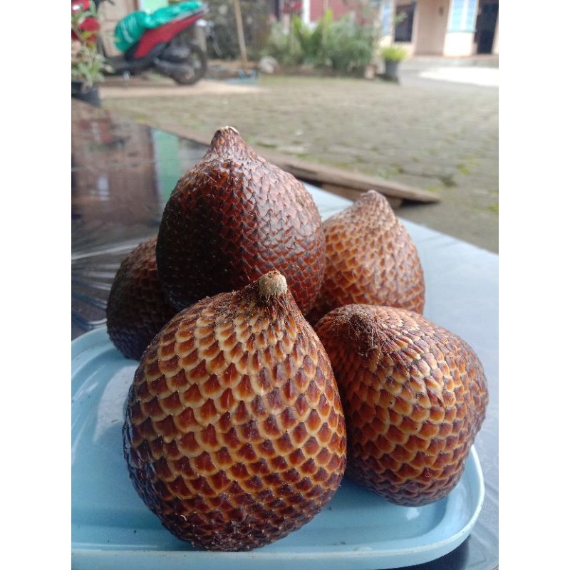

BUAH SALAK MADU ASLI