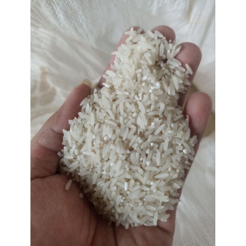 BERAS MAPAN PANEN BARU